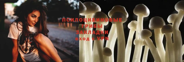 mix Горняк