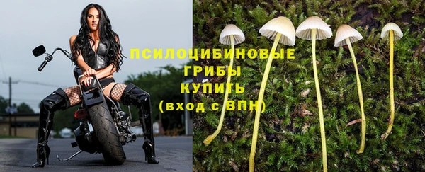 СК Вяземский